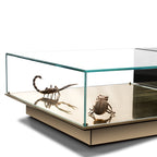 Luxury Coffee Table Set with Marble, Glass & Sculptural Gold Brass Design Center Tea Table