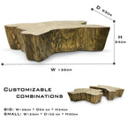 Luxury Patina Brass Coffee Table with Organic Sculptural Design & Handcrafted Finish Center Tea Table