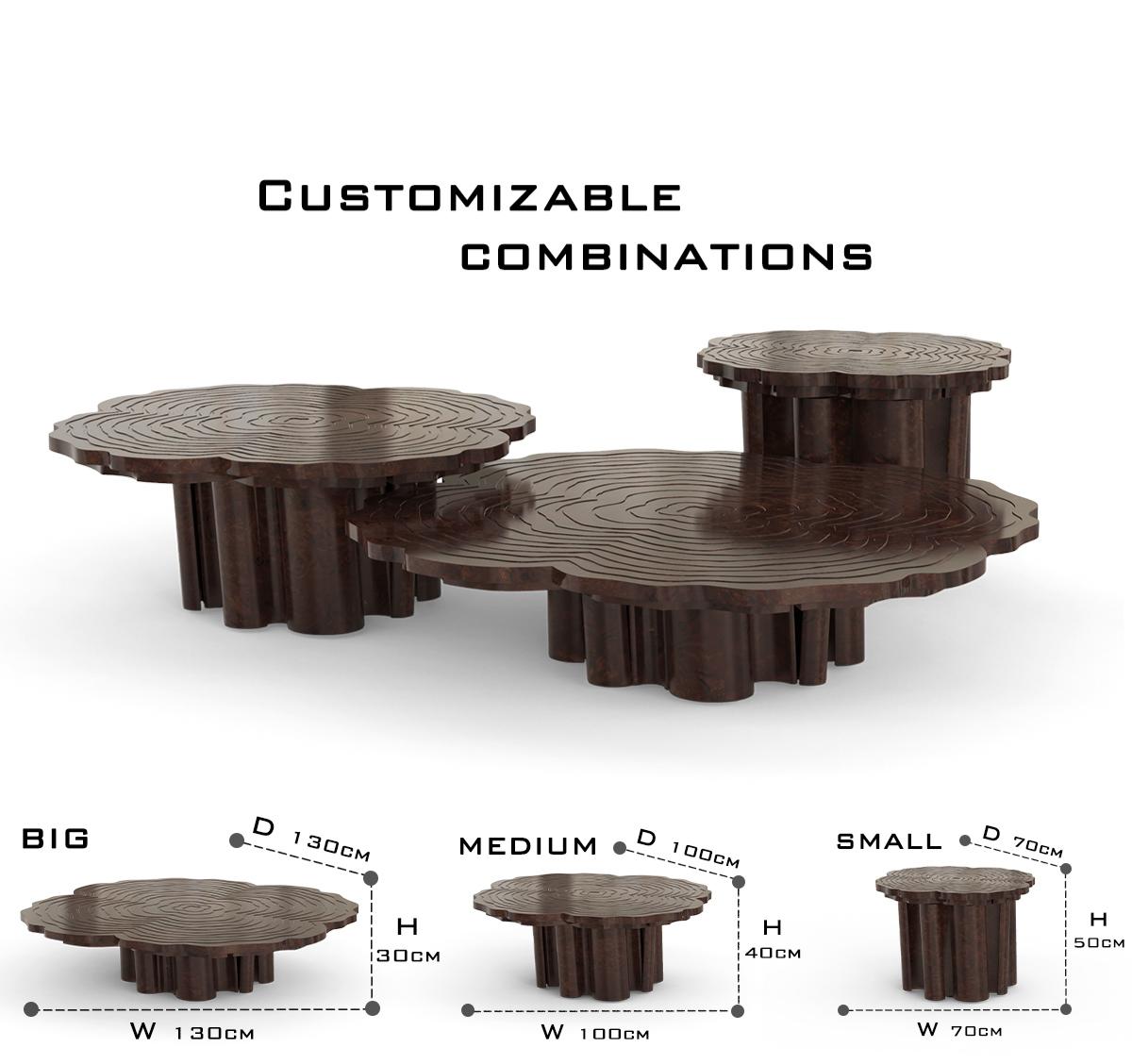 Luxury Patina Brass Coffee Table Set with Round Tiered Tops & Statement Design Center Tea Table