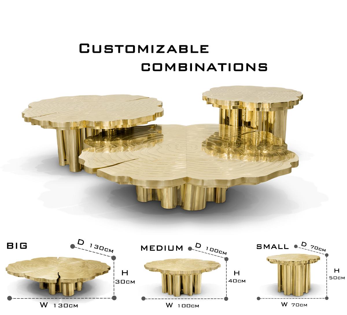 Luxury Patina Brass Coffee Table Set with Round Tiered Tops & Statement Design Center Tea Table