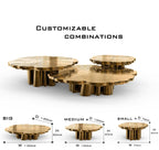 Luxury Patina Brass Coffee Table Set with Round Tiered Tops & Statement Design Center Tea Table