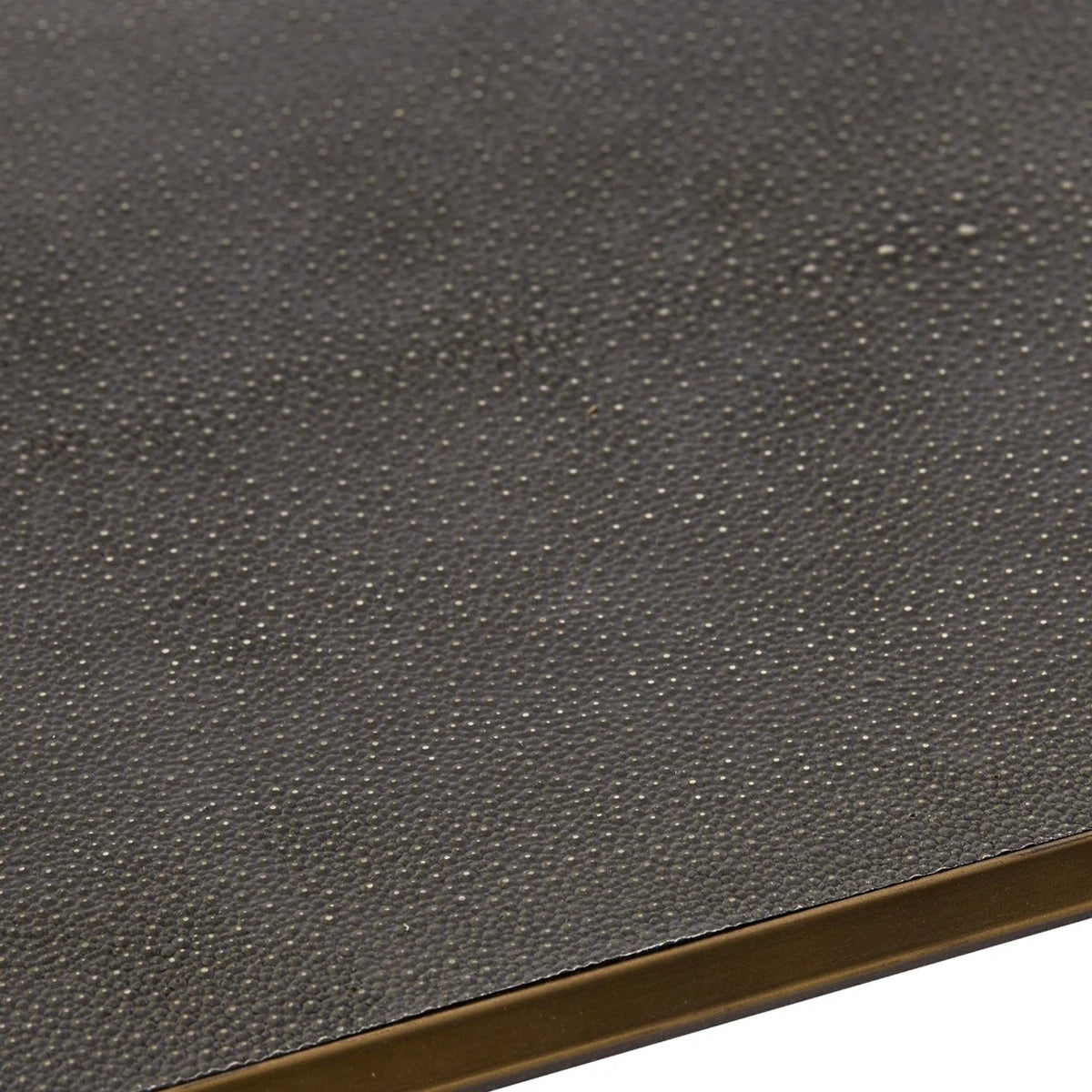 Max Rectangular Glass Coffee Table Faux Shagreen Center Tea Table