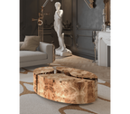 Luxury Oval Coffee Table with Sculptural Brass Accents & High Gloss Finish Center Tea Table